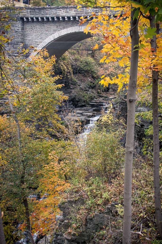 Ithaca gorges on the Cornell campus
