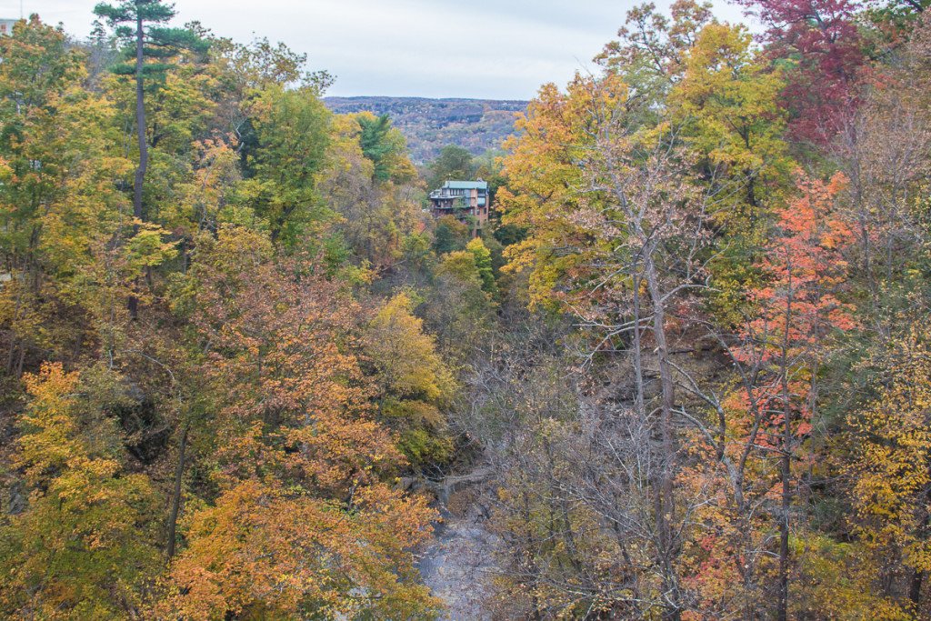 Ithaca gorges in the fall