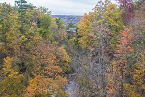 Ithaca gorges in the fall