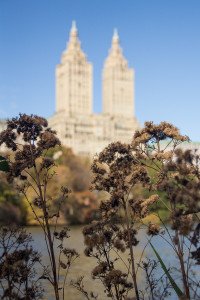 The San Remo in Central Park