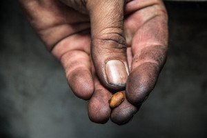 Tim Finds the Bad Coffee Beans