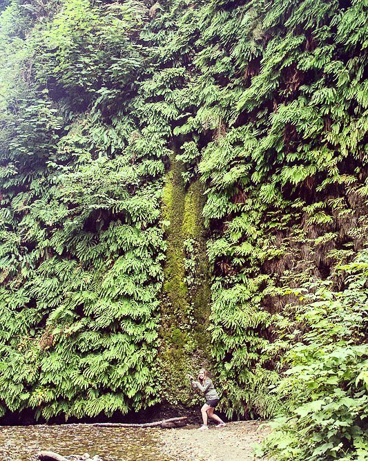 Playing dinosaurs in Fern Canyon