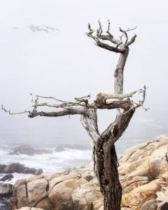 Carmel by the Sea, California