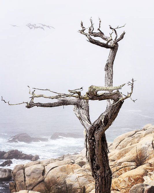 Carmel by the Sea, California
