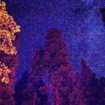 Stars at Night at Crater Lake, Oregon