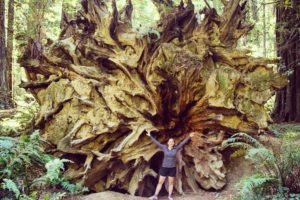 Ashley in the Redwoods