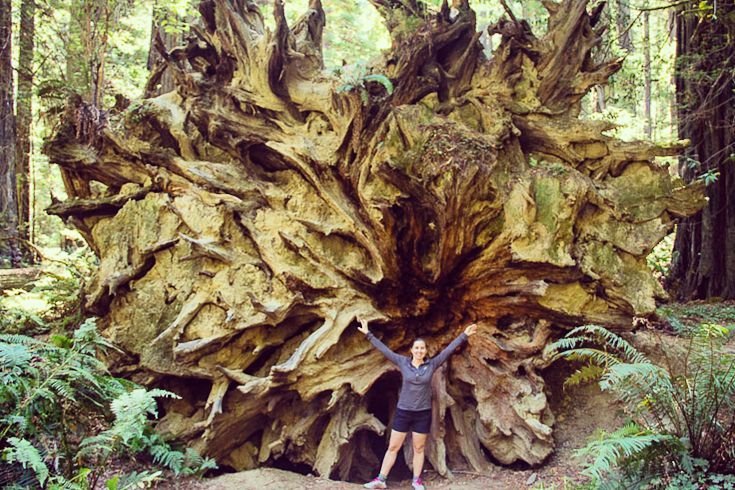 Ashley in the Redwoods