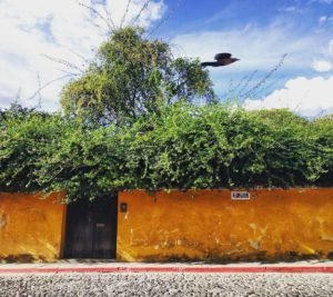 Antigua Guatemala