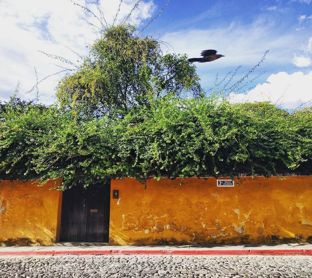 Antigua Guatemala