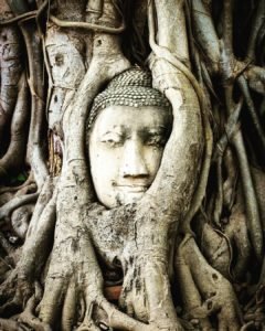 Buddha in Thailand